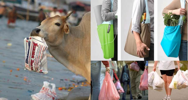 Hazards of Polythene Bags